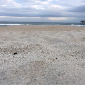 Meet your Posher, Elijah